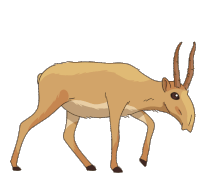 Gif animé antilope marron clair